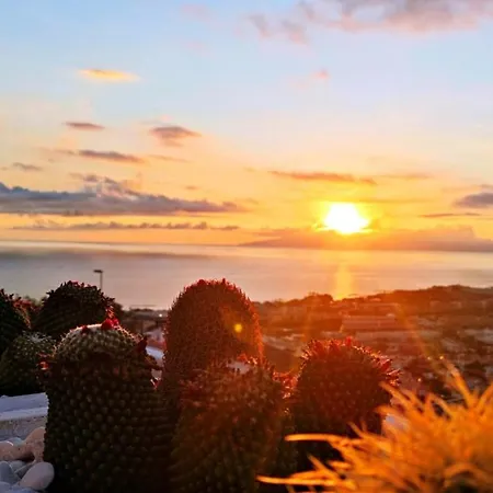 Wonderful View, Huge Terrace Solarium, Private Parking Appartement Costa Adeje (Tenerife)